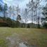  Land for sale in Medellin, Antioquia, Medellin