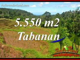  Tanah for sale in Selemadeg, Tabanan, Selemadeg