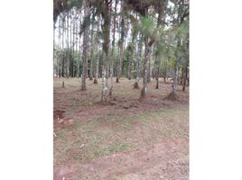  Land for sale in Pacora, Panama, Pacora, Panama City, Panama, Panama