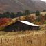  Land for sale in Alumine, Neuquen, Alumine