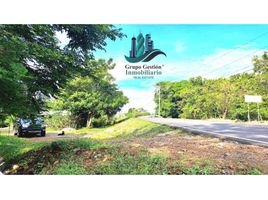  Land for sale in Chiriqui, Cochea, David, Chiriqui