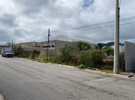  Land for rent in Monterrey, Nuevo Leon, Monterrey
