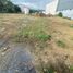  Land for rent in Monterrey, Nuevo Leon, Monterrey