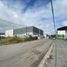  Land for rent in Monterrey, Nuevo Leon, Monterrey