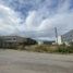  Land for rent in Monterrey, Nuevo Leon, Monterrey