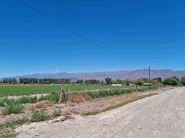  Terrain for sale in San Carlos, Mendoza, San Carlos