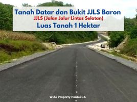  Land for sale in Yogyakarta, Tepus, Gunung Kidul, Yogyakarta