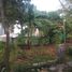  Land for sale in Cimalaka, West Jawa, Cimalaka, Sumedang