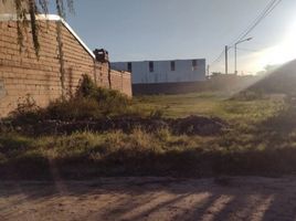  Land for sale in Gualeguaychu, Entre Rios, Gualeguaychu