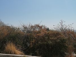Terrain à vendre à Irapuato, Guanajuato, Irapuato