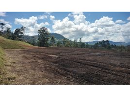  Grundstück zu verkaufen in La Ceja, Antioquia, La Ceja, Antioquia
