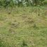  Land for sale in Davao del Norte, Davao, Island Garden Samal City, Davao del Norte