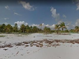  Grundstück zu verkaufen in Cozumel, Quintana Roo, Cozumel