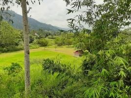  Terrain for sale in Bentong, Pahang, Bentong, Bentong