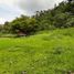  Terrain for sale in Bentong, Pahang, Bentong, Bentong