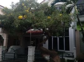 3 Schlafzimmer Villa zu verkaufen in Mulyorejo, East Jawa, Mulyorejo