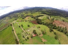  Terrain for sale in Barrio Colon, La Chorrera, Barrio Colon