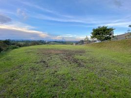  Land for sale in El Carmen De Viboral, Antioquia, El Carmen De Viboral