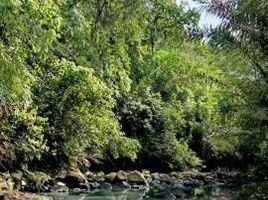  Land for sale in Selemadeg, Tabanan, Selemadeg