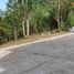  Terreno (Parcela) en venta en Cebu City, Central Visayas, Cebu City, Cebu, Central Visayas, Filipinas
