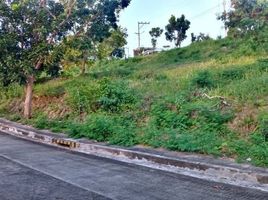  Grundstück zu verkaufen in Talisay City, Central Visayas, Talisay City
