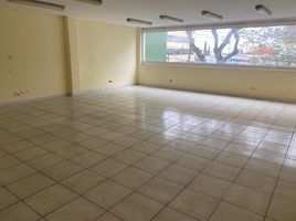 0 m² Office for rent in Coatepec, Veracruz, Coatepec
