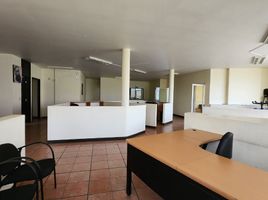255 平米 Office for rent in Aguascalientes, Aguascalientes, Aguascalientes