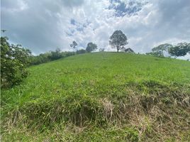  Land for sale in Pereira, Risaralda, Pereira