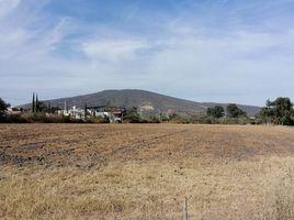  Grundstück zu verkaufen in Tlajomulco De Zuniga, Jalisco, Tlajomulco De Zuniga