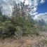  Terreno (Parcela) en venta en Chile, Puerto Montt, Llanquihue, Los Lagos, Chile