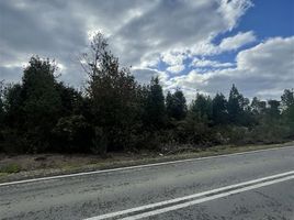  Terreno (Parcela) en venta en Chile, Puerto Montt, Llanquihue, Los Lagos, Chile