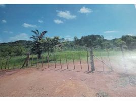  Terreno (Parcela) en venta en Panamá Oeste, El Coco, La Chorrera, Panamá Oeste