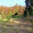  Land for sale in Cautin Araucania, Villarrica, Cautin