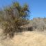  Land for sale in Melipilla, Santiago, Curacavi, Melipilla
