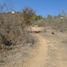  Land for sale in Melipilla, Santiago, Curacavi, Melipilla