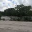  Land for sale in Merida, Yucatan, Merida, Yucatan