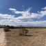  Land for sale in Soledad De Graciano Sanchez, San Luis Potosi, Soledad De Graciano Sanchez, San Luis Potosi