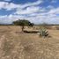  Land for sale in Soledad De Graciano Sanchez, San Luis Potosi, Soledad De Graciano Sanchez, San Luis Potosi