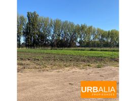  Terrain for sale in Colina, Chacabuco, Colina