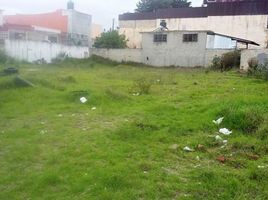  Grundstück zu vermieten in Toluca, Mexico, Toluca