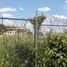 Studio House for rent in Merida, Yucatan, Merida