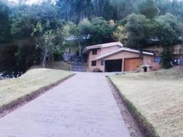  Terrain for sale in Cusco, San Sebastian, Cusco, Cusco