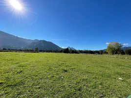  Land for sale in Los Rios, Lago Ranco, Ranco, Los Rios