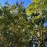  Land for sale in Los Rios, Lago Ranco, Ranco, Los Rios