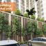  Departamento en venta en Lapu-Lapu City, Central Visayas, Lapu-Lapu City, Cebu