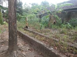  Land for sale in Yogyakarta, Sedayu, Bantul, Yogyakarta