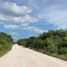  Land for sale in Celestun, Yucatan, Celestun