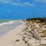  Land for sale in Celestun, Yucatan, Celestun