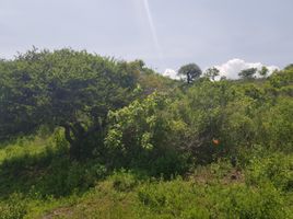  Grundstück zu verkaufen in Tlayacapan, Morelos, Tlayacapan
