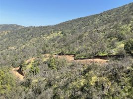  Land for sale in Melipilla, Santiago, Curacavi, Melipilla